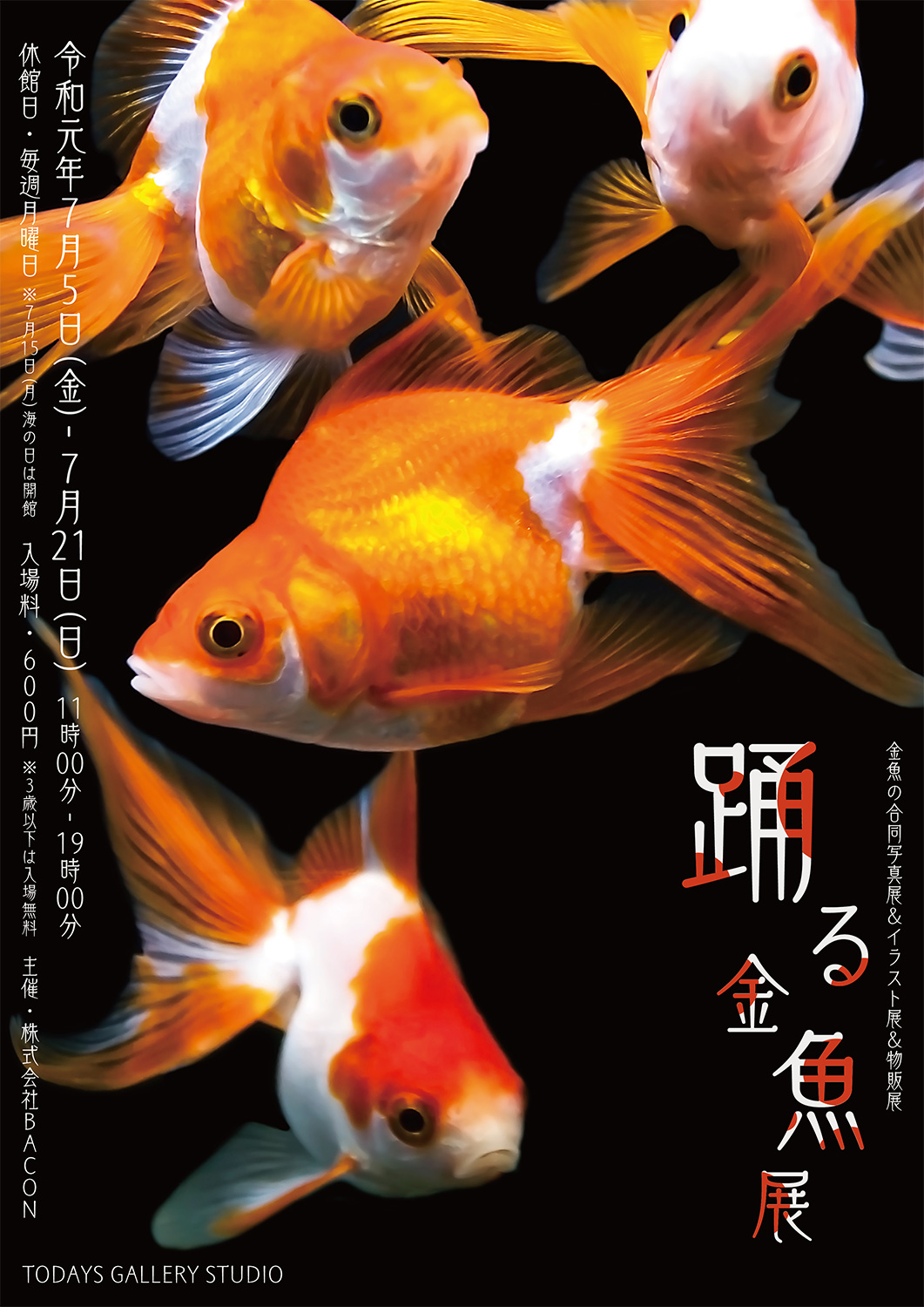 ◆ 宣伝!!宣伝!! ◆　 踊る金魚展 ソライロ刺繍のN子さん金魚デビュー!!