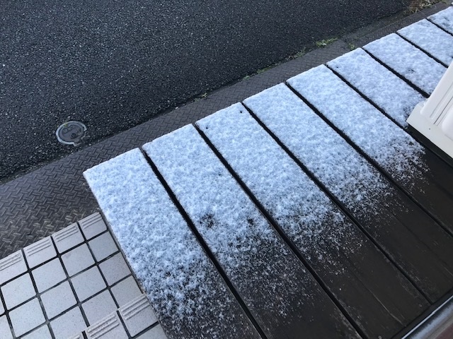 名古屋に少し雪が降りました⛄