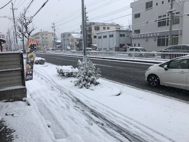 名古屋に雪が降りました⛄
