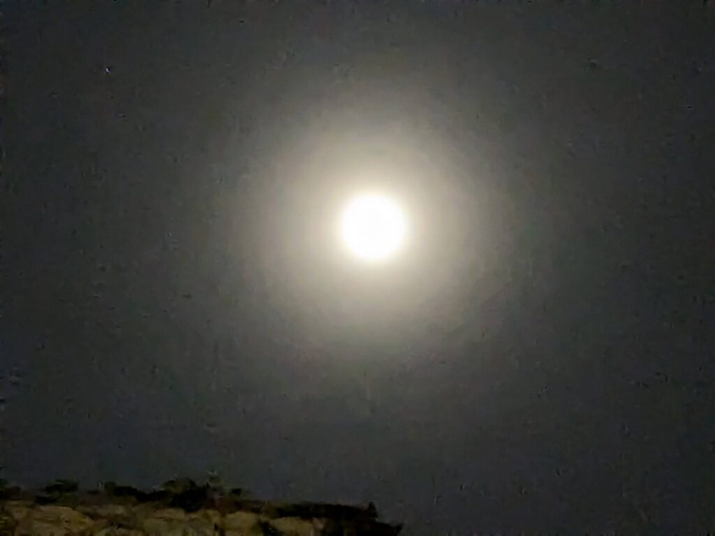 スーパームーン🌕