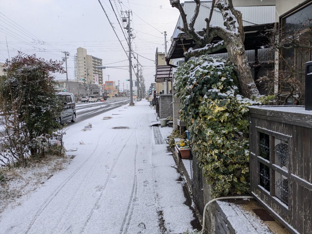 名古屋に初雪降りました☃