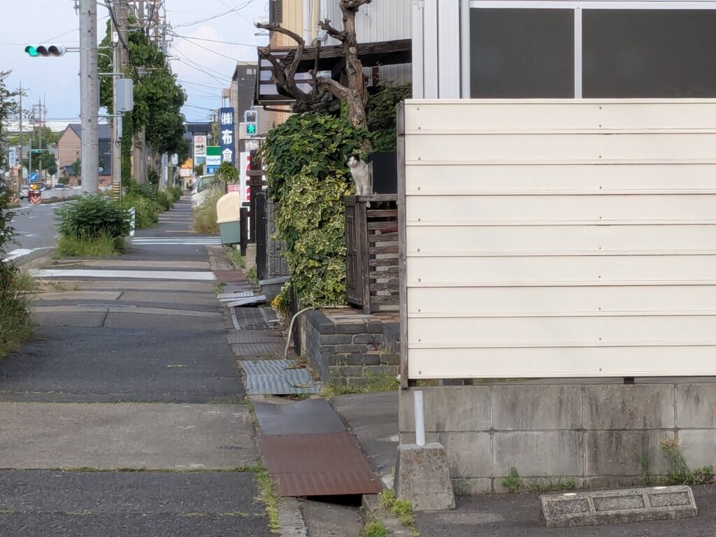 引き籠り✨