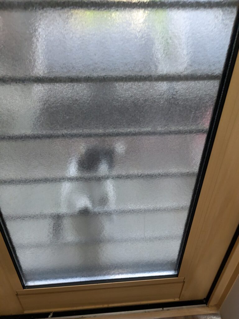 本日の猫ちゃん💖
