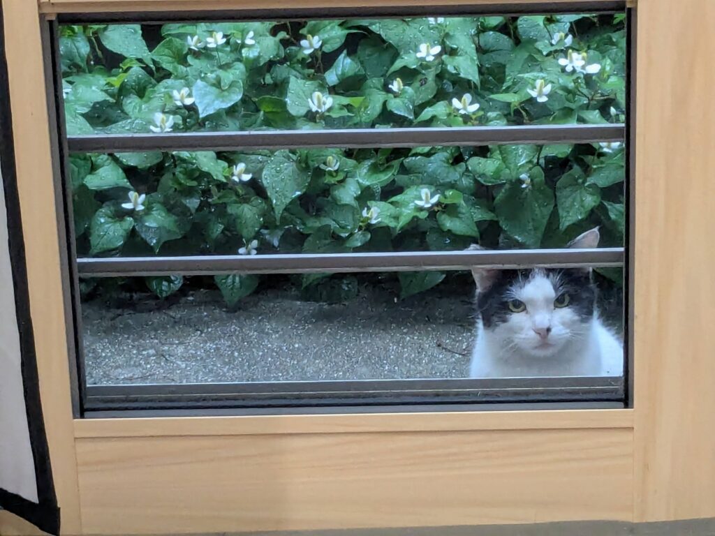 世界中が不安定?!