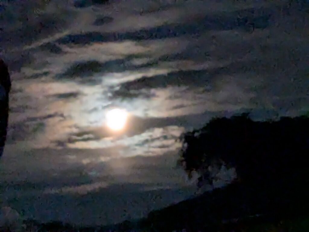 夜は少し涼しい。
