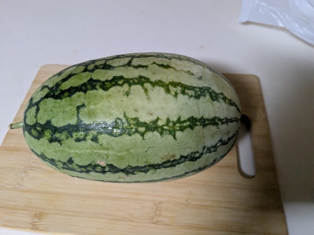 初すいか🍉