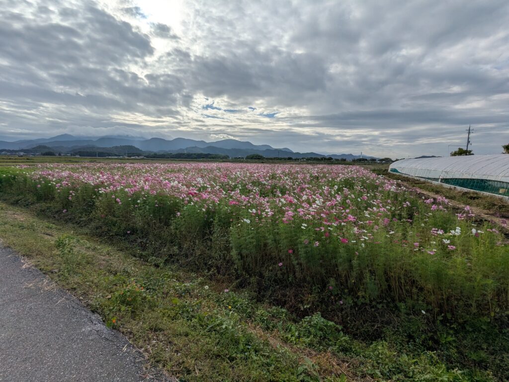 滋賀県の田舎暮らし💖