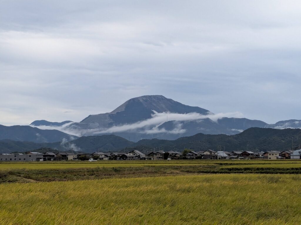 ゆっくり、まったり、コツコツと・・・
