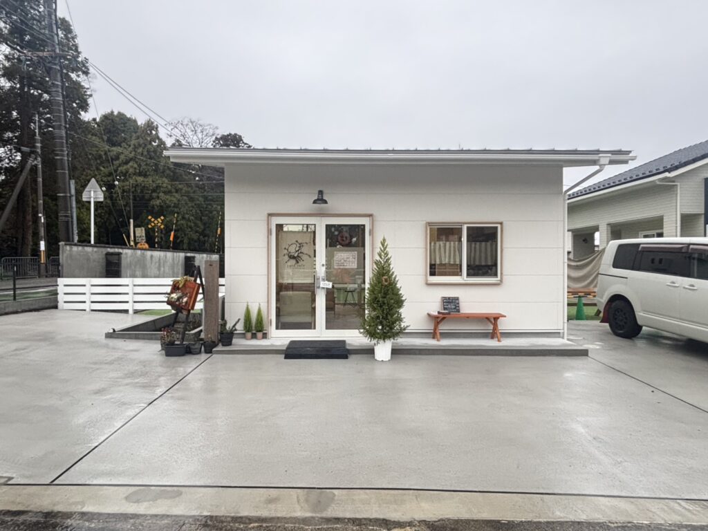 バディ(相棒)の『ほしのぴぴさん』と生活圏内の散策と妄想話✨