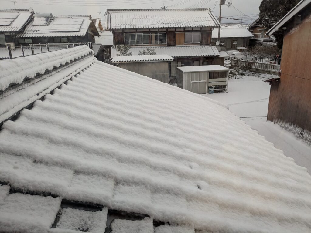 朝起きたら雪景色⛄