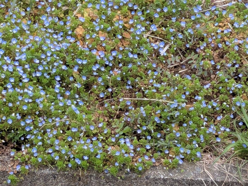 春ですね。花粉の季節ですね😂