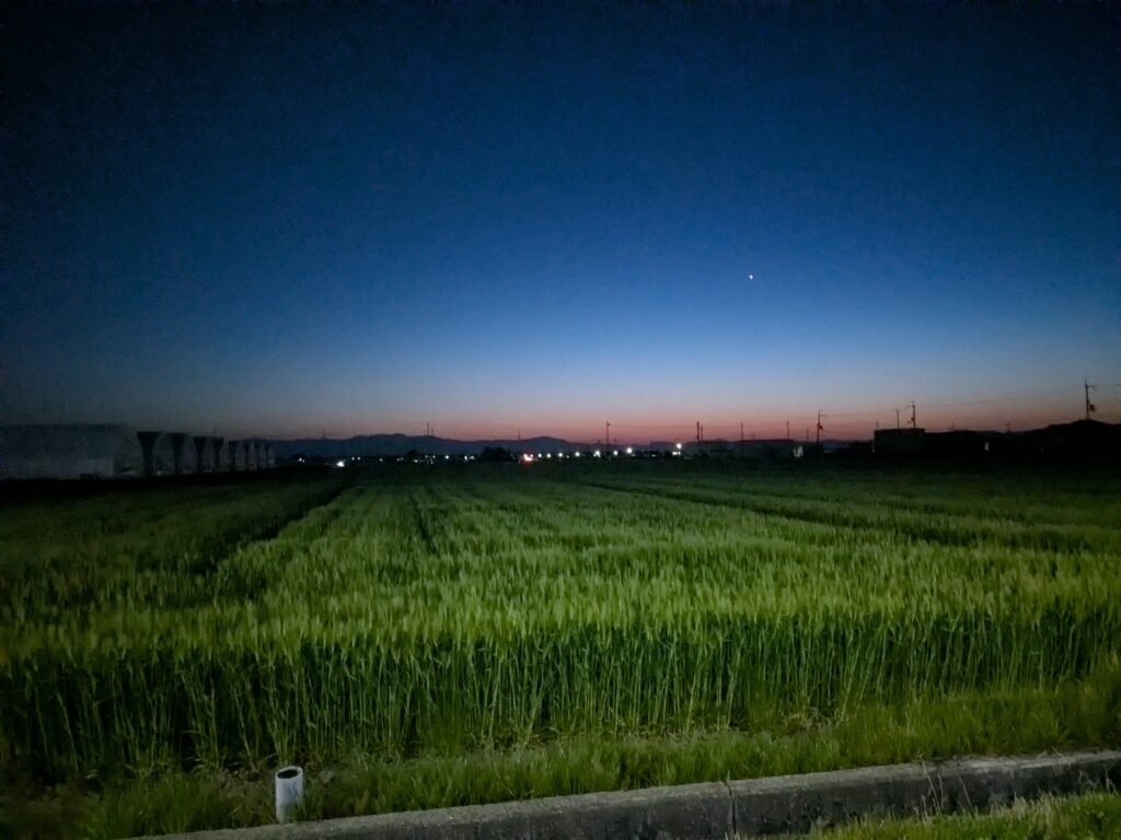 美しい夕焼け