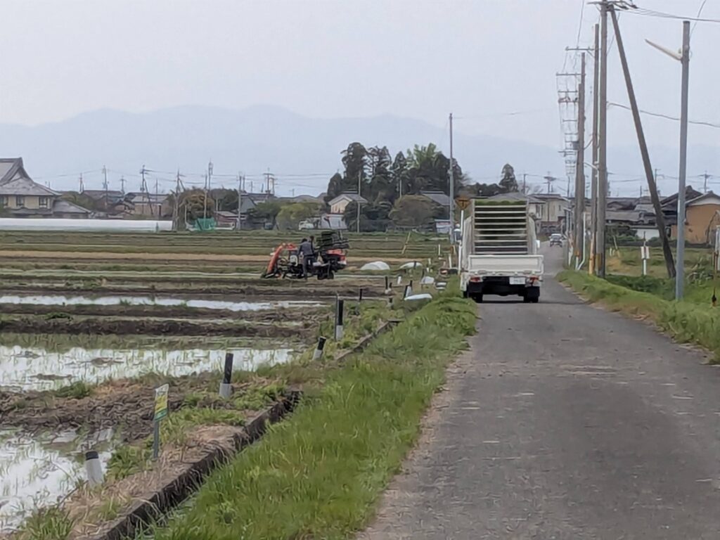 田植えの季節♪