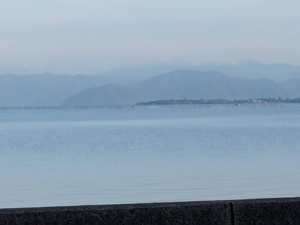 近くの川に鮎(あゆ)の子供が沢山いました。