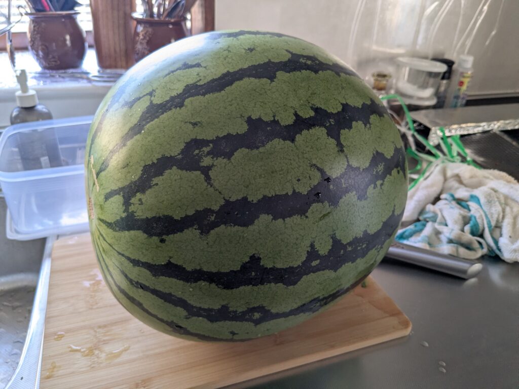 ご自愛ブログ🍉