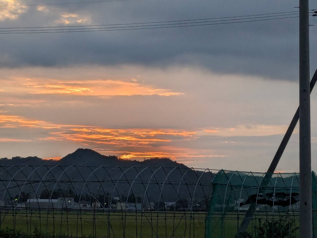 朝のお散歩✨