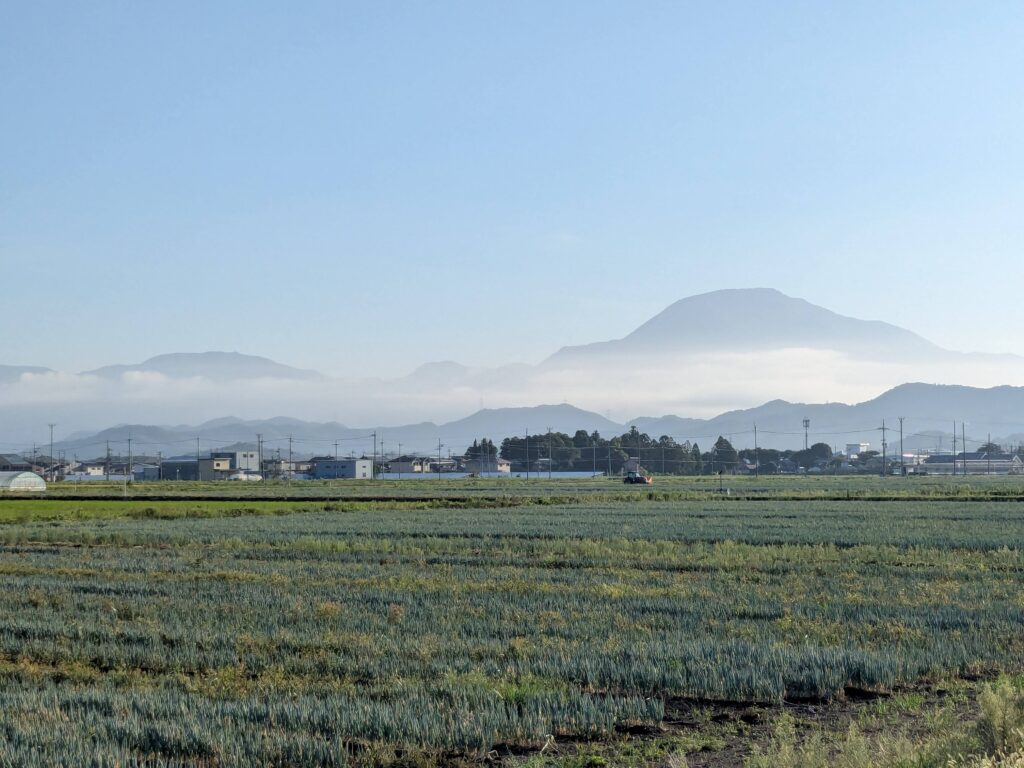 朝のウォーキング頑張っています。