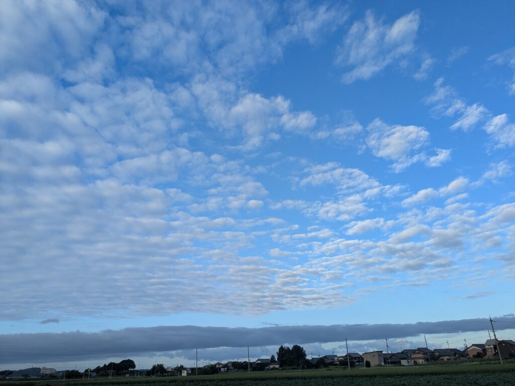 朝のウオーキングでの景色🍄