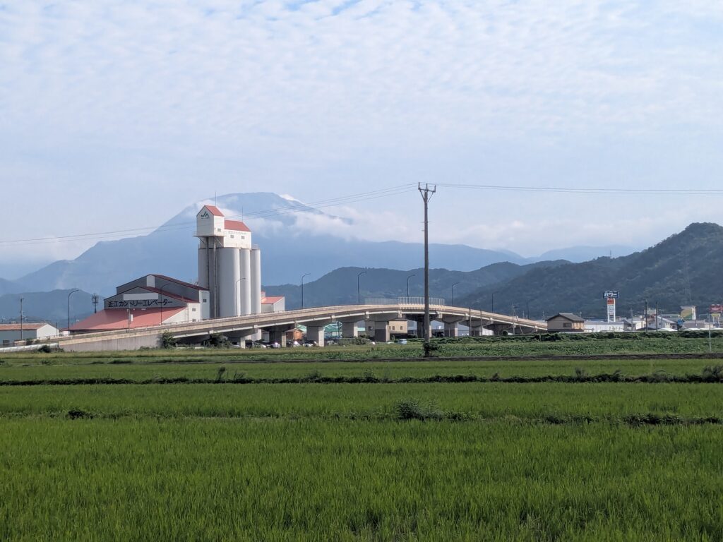 ウオーキング頑張っています。
